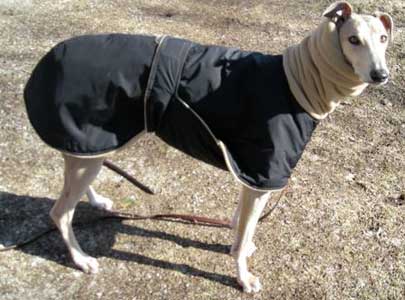 discount winter dog coat