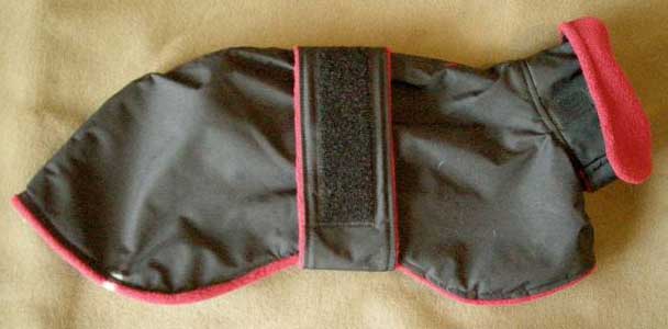 black raincoat for italian greyhound