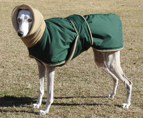 Wool pin striped fabric Coat for Greyhound with snood wool lining Medium