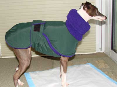 reversible dog coat One Whippet,Italian GH /& Greyhound Coat,Puppy Coat summer dog coat fleece All hooded dog coat custom coat in