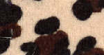 leopard swatch