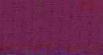 red onion goretex