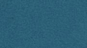 teal fleece