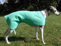 Wet Coat - Cool Coat Dog