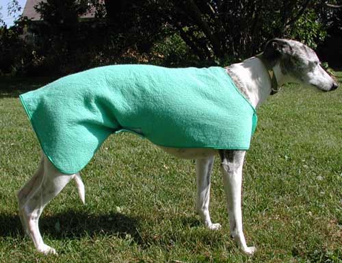 wet coat for dogs