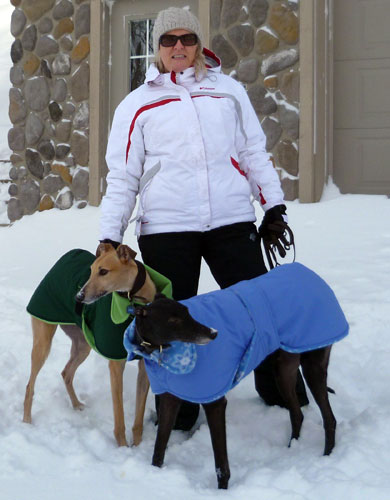 winter dog coats illinois