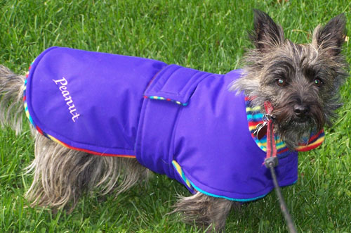 Peanut's Dog Coat