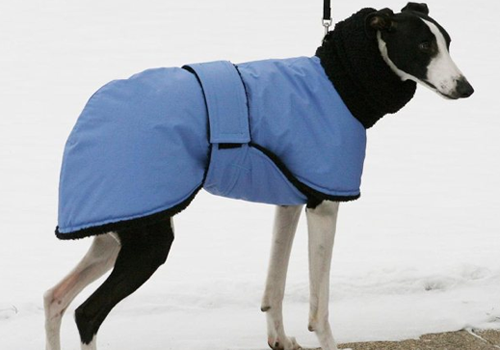 blue & black dog coat