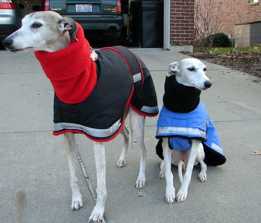 winter dog coat and raincoat - whippets