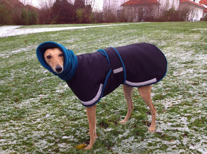 Winter dog Coat North Germany