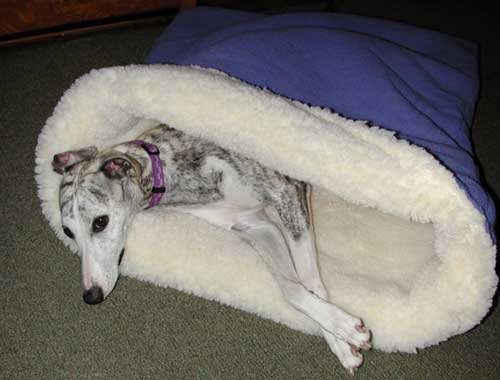 Pita bed sleeping bag for dogs