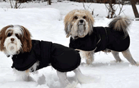 Dog Raincoats