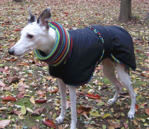 striped fleece dog winter coat
