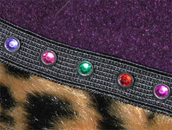 dog coat trim